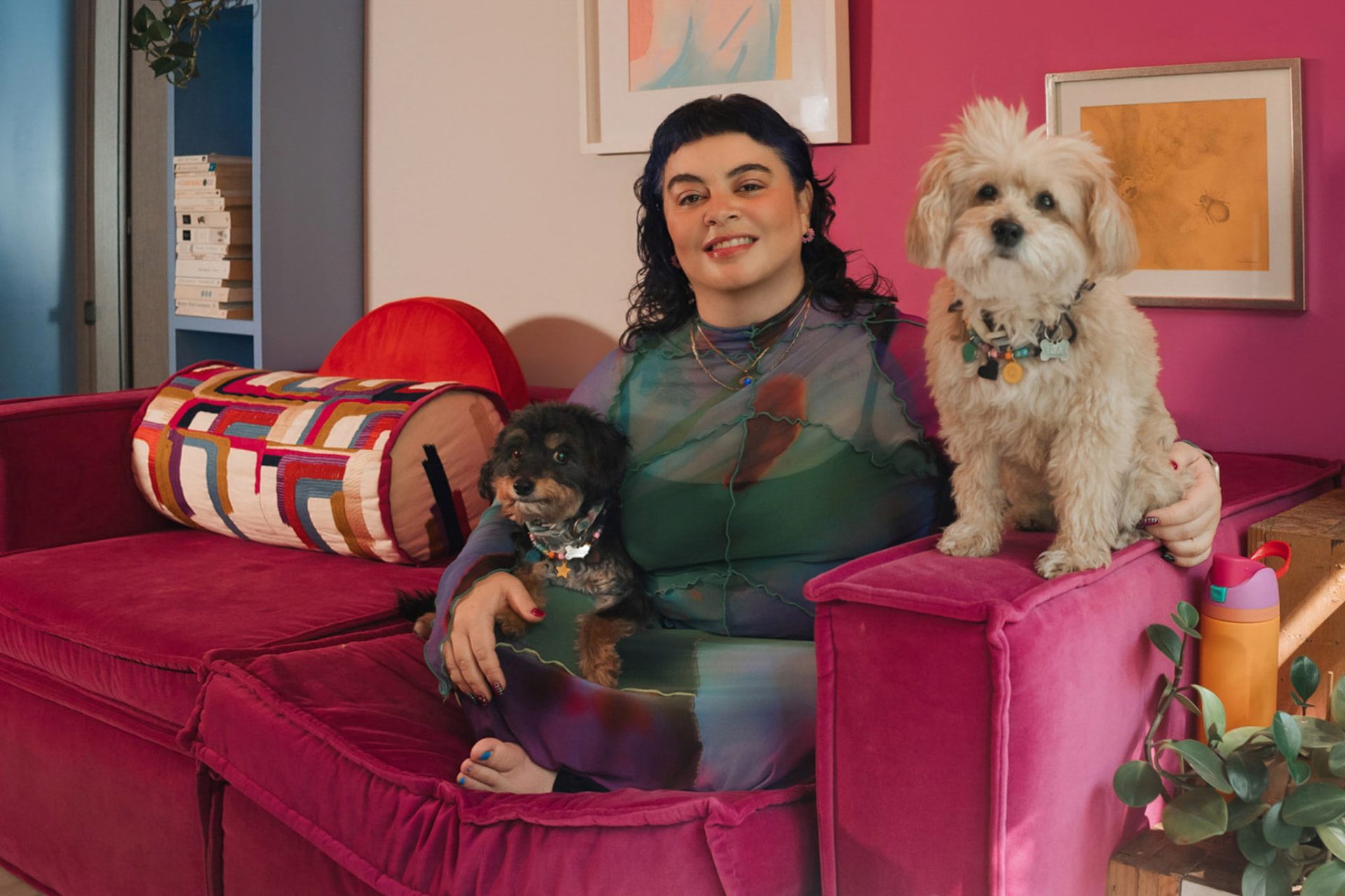 Retrato en una sala con sofá magenta y dos perros